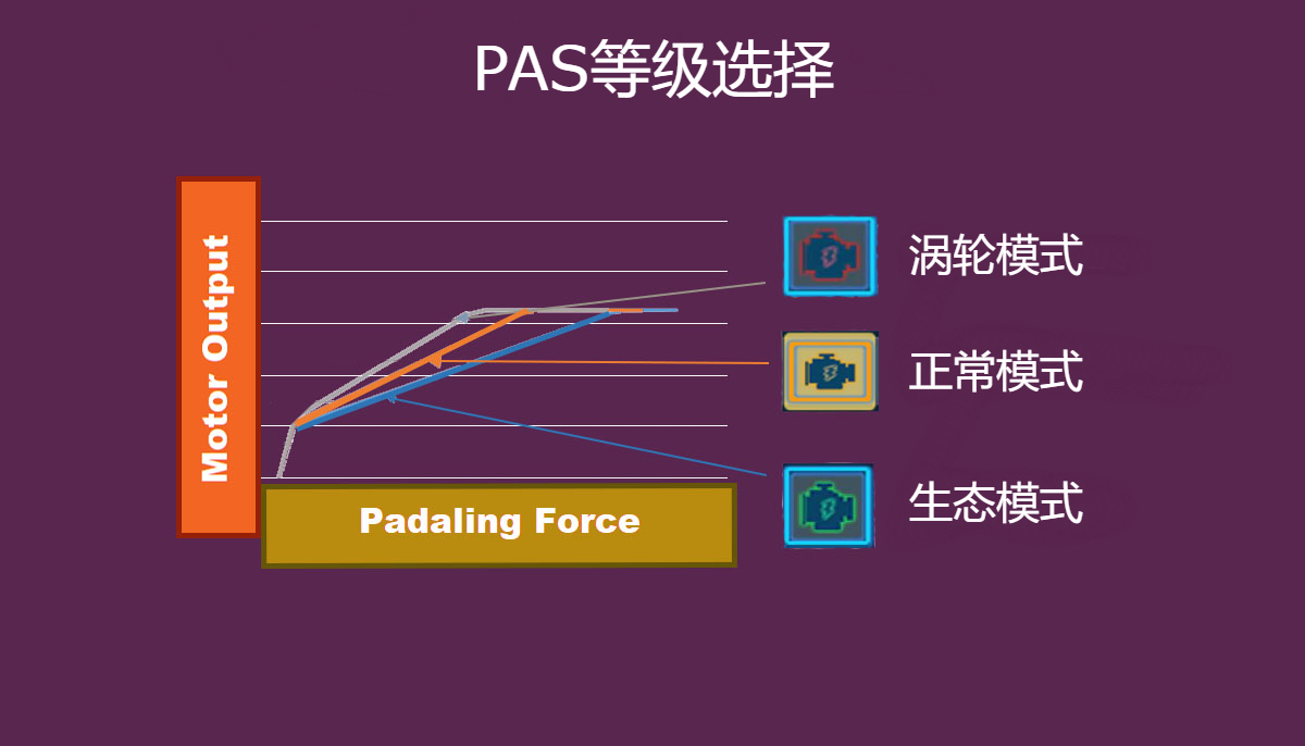 pas_selection-1 chinese